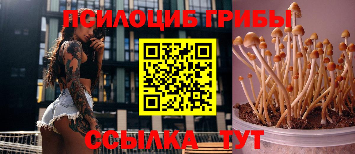 Псилоцибиновые грибы GOLDEN TEACHER  купить наркотик  Астрахань  Вход с VPN 